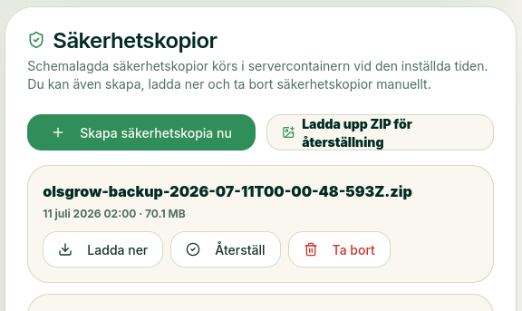 Säkerhetskopior