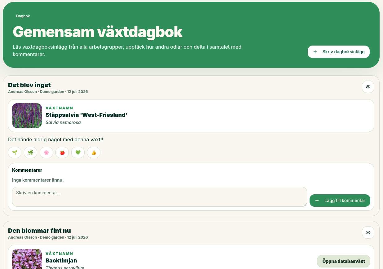 Dagbok