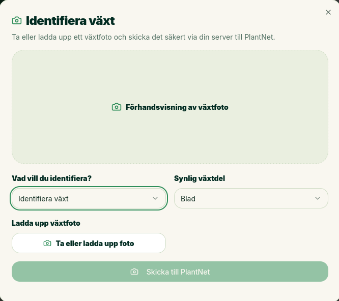 Identifiera